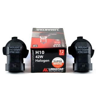 H10, 42 Watt, 12 Volt Halogenlampen